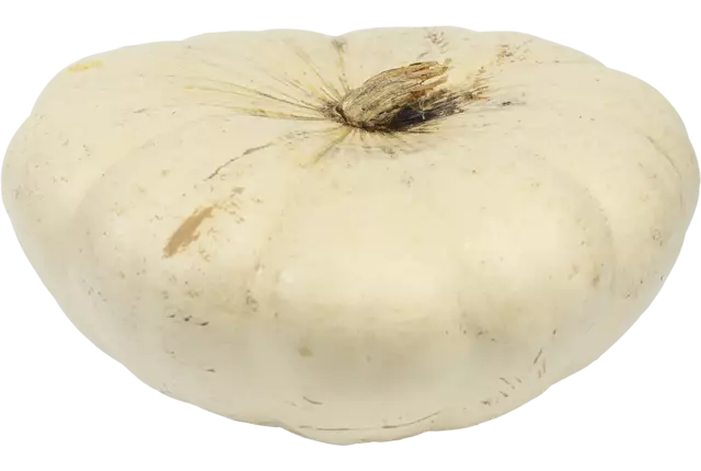 Pompoen Snow White (1,5 tot 2 kilo) kist 1 stuk